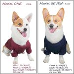 Moda para perros en polanco