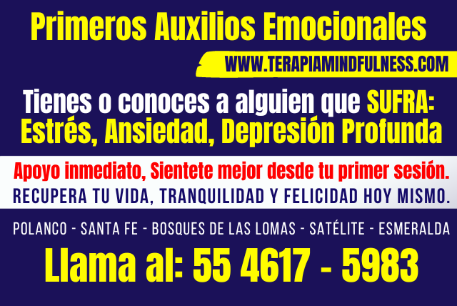 Primeros Auxilios Emocionales en Polanco